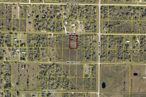 Land in Okeechobee, Florida № 1883228 - photo 16