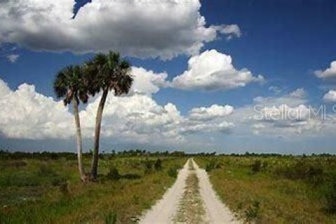 Land in Okeechobee, Florida № 1883228 - photo 20