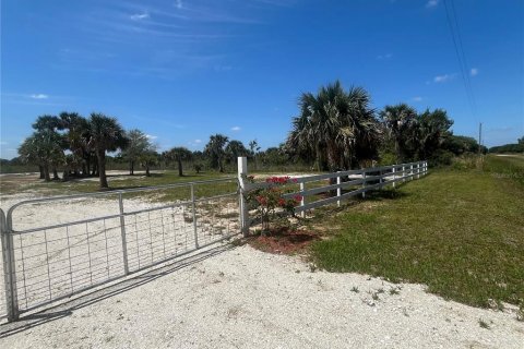 Land in Okeechobee, Florida № 1883228 - photo 8