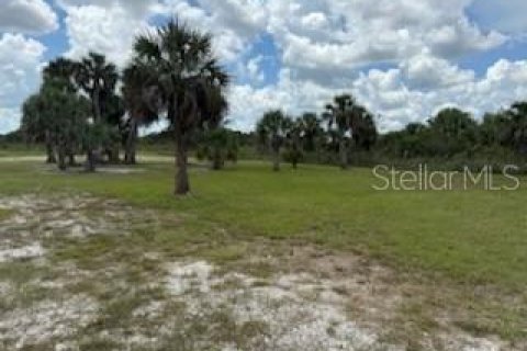 Land in Okeechobee, Florida № 1883228 - photo 23