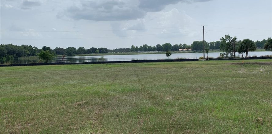 Terrain à Tavares, Floride № 1569144