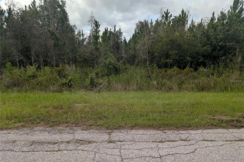 Land in Indian lake estates, Florida № 2164672 - photo 5