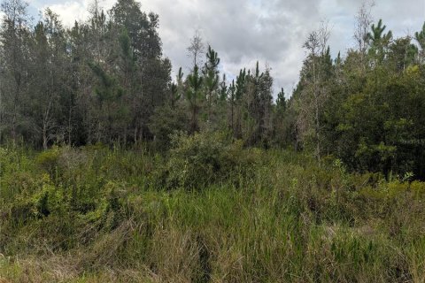 Land in Indian lake estates, Florida № 2164672