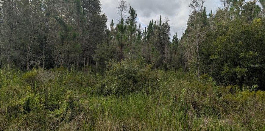 Land in Indian lake estates, Florida № 2164672