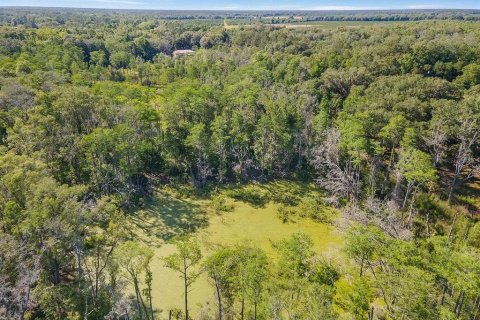 Land in Perry, Florida № 2158701 - photo 3