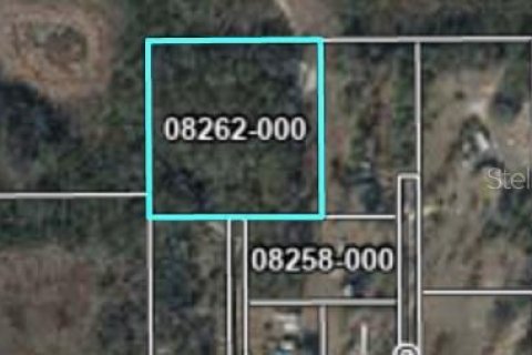 Land in Perry, Florida № 2158701 - photo 2