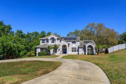 Casa en venta en Clermont, Florida, 4 dormitorios, 361.58 m2 № 1580908 - foto 5