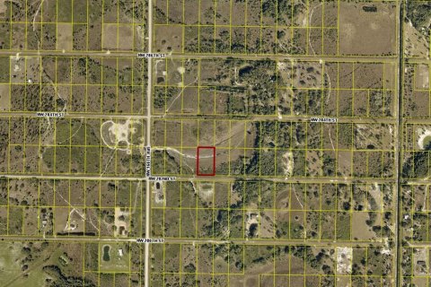 Land in Okeechobee, Florida № 2165122 - photo 7