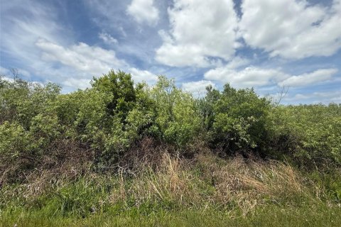 Land in Okeechobee, Florida № 2165122