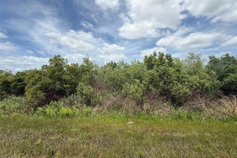 Land in Okeechobee, Florida № 2165122 - photo 6