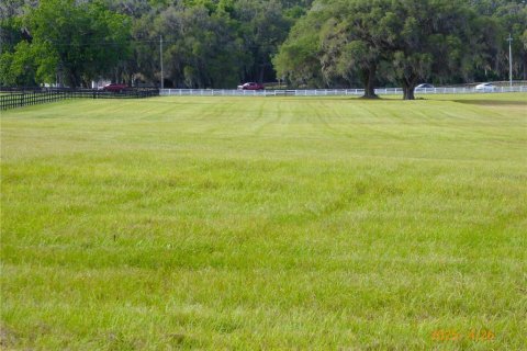 Terrain à vendre à Ocala, Floride № 2223055 - photo 5