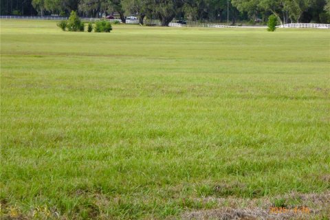 Terrain à vendre à Ocala, Floride № 2223055 - photo 3