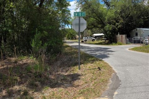 Terrain à vendre à Dunnellon, Floride № 2159404 - photo 6