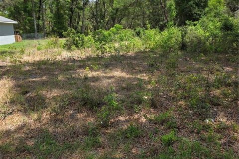 Terrain à Dunnellon, Floride № 2159404