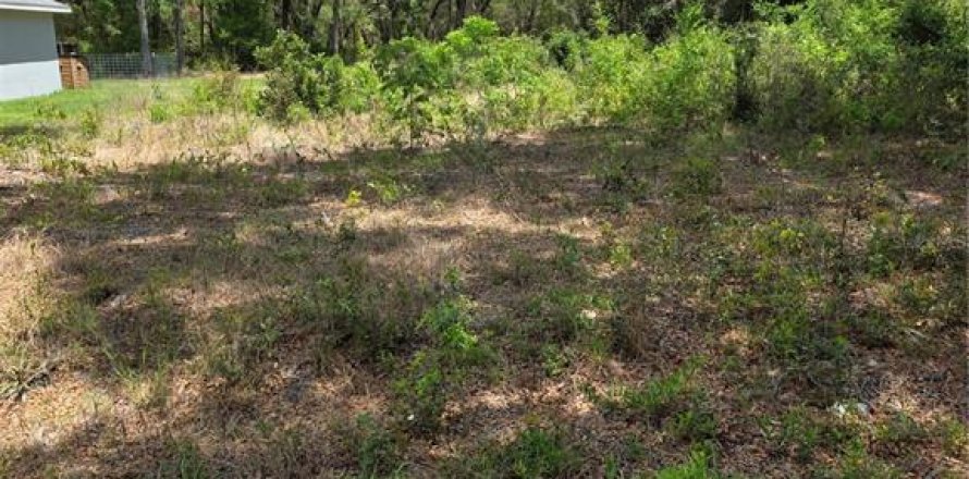 Terrain à Dunnellon, Floride № 2159404