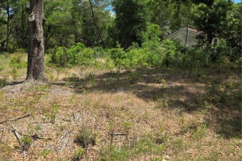 Terrain à vendre à Dunnellon, Floride № 2159404 - photo 4