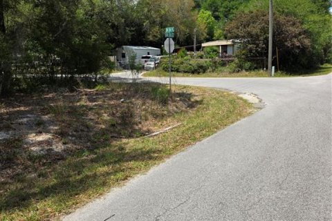 Terrain à vendre à Dunnellon, Floride № 2159404 - photo 5