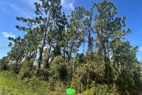 Купить земельный участок в Лейк-Плэсид, Флорида № 2009159 - фото 2