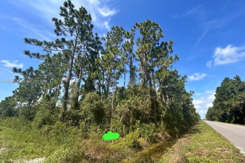 Земельный участок в Лейк-Плэсид, Флорида № 2009159