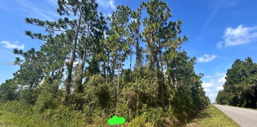 Земельный участок в Лейк-Плэсид, Флорида № 2009159