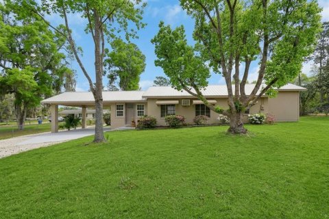 House in De Leon Springs, Florida 3 bedrooms, 160.91 sq.m. № 2117036