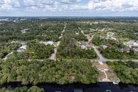 Land in Port Charlotte, Florida № 1916923 - photo 5