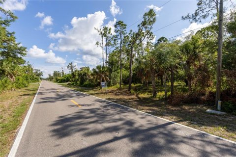 Land in Port Charlotte, Florida № 1916923 - photo 15