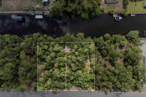 Land in Port Charlotte, Florida № 1916923 - photo 12