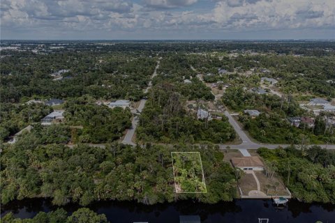 Land in Port Charlotte, Florida № 1916923 - photo 6