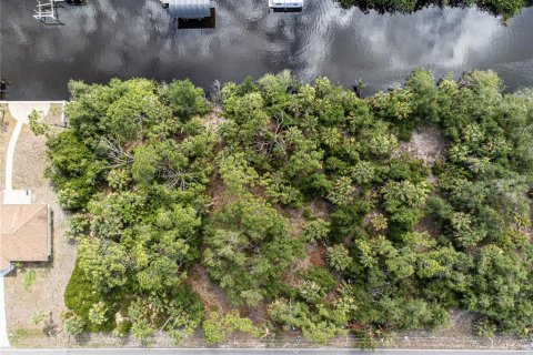 Land in Port Charlotte, Florida № 1916923 - photo 8