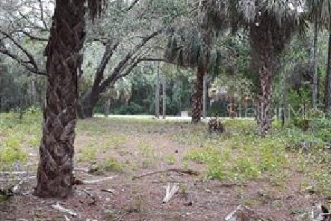 Land in Port Charlotte, Florida № 1916923 - photo 17