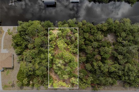 Land in Port Charlotte, Florida № 1916923 - photo 1
