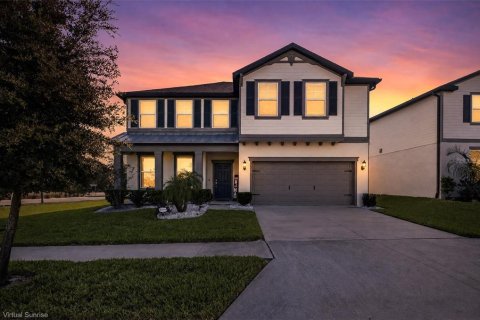 House in Wesley Chapel, Florida 4 bedrooms, 270.35 sq.m. № 2393882
