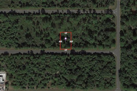 Land in Port Charlotte, Florida № 2160200 - photo 5