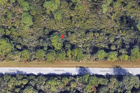 Land in Port Charlotte, Florida № 2160200