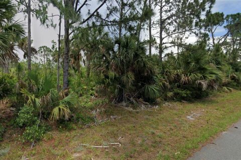 Land in Port Charlotte, Florida № 2160200 - photo 8
