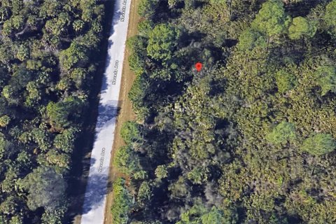 Land in Port Charlotte, Florida № 2160200 - photo 2