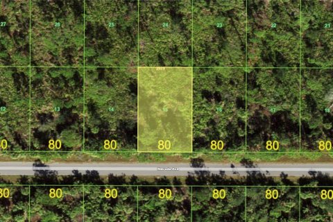 Land in Port Charlotte, Florida № 2160200 - photo 9