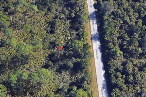 Land in Port Charlotte, Florida № 2160200 - photo 4