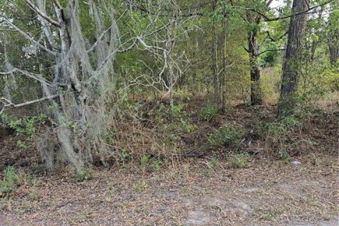 Land in Ocala, Florida № 2163441 - photo 5