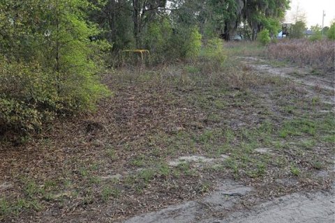 Land in Ocala, Florida № 2163441 - photo 6
