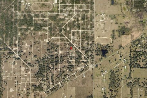 Land in Ocala, Florida № 2163441 - photo 3
