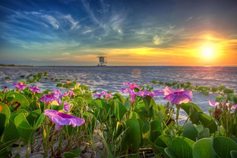 Condo in Juno Beach, Florida, 2 bedrooms  № 1173212 - photo 1