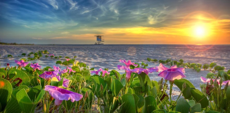 Condo in Juno Beach, Florida, 2 bedrooms № 1173212