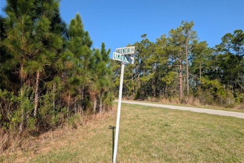 Land in Indian lake estates, Florida № 2160757