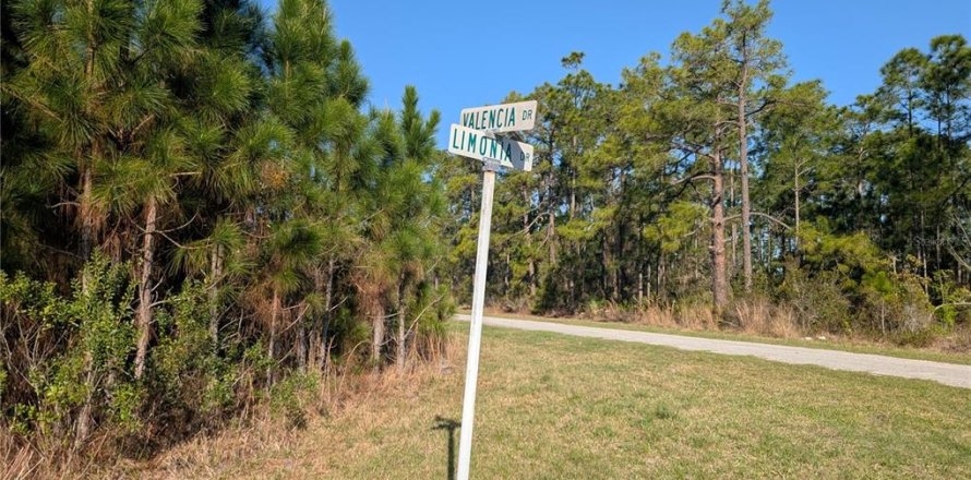 Land in Indian lake estates, Florida № 2160757