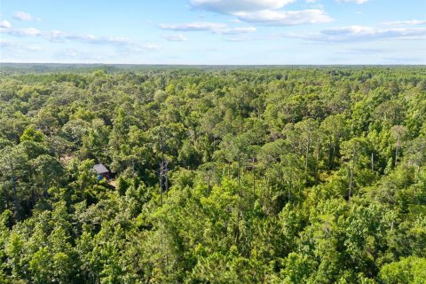 Terrain à vendre à New Port Richey, Floride № 2162340 - photo 6