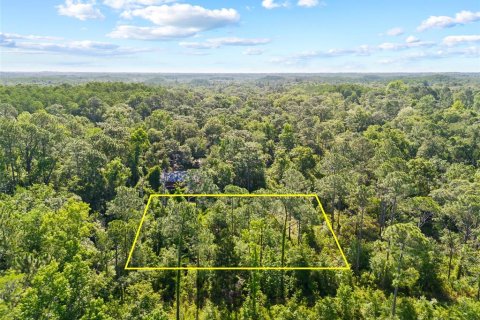 Terrain à New Port Richey, Floride № 2162340