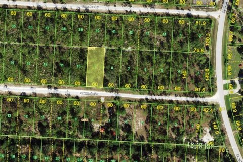 Land in Punta Gorda, Florida № 2160543