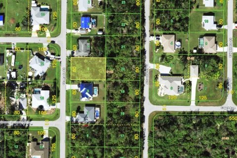 Land in Port Charlotte, Florida № 2228750 - photo 2
